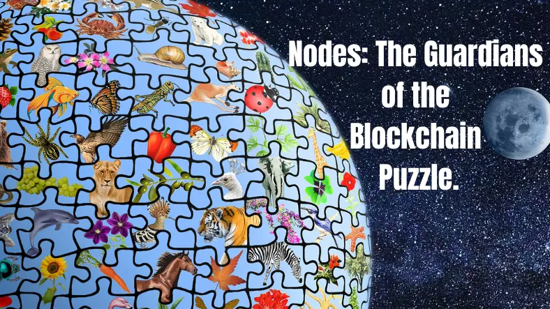 🛡️ Nodes: The Guardians of the Blockchain Puzzle 🧩