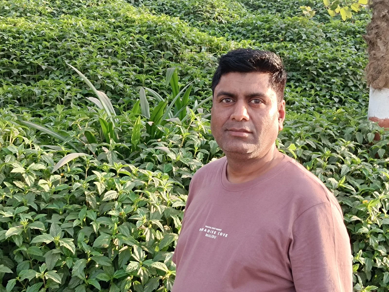 Keshav Chandak